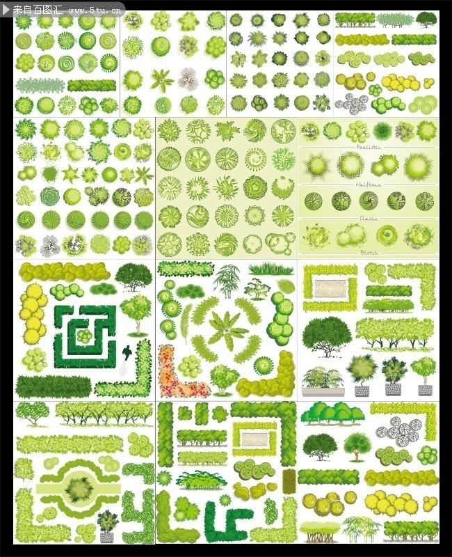 园林景观植物彩平图
