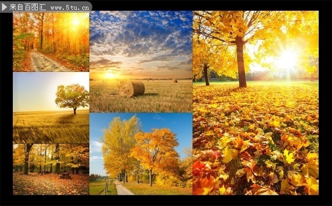 秋天风景高清摄影图片素材