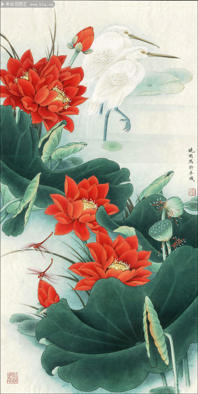 国画荷花_近现代_李晓明