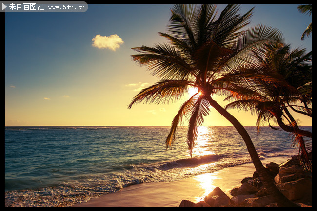 海边夕阳椰树风景摄影图片