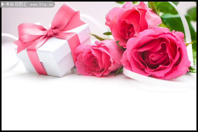 玫瑰花与礼盒高清图片素材