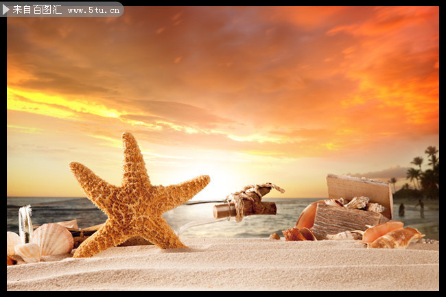 沙滩和海星高清图片素材