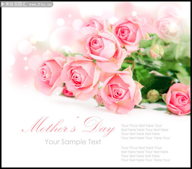 粉色玫瑰花母亲节卡片背景图片