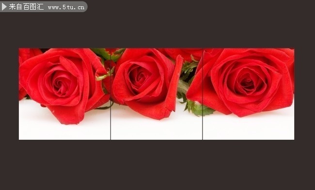 红色玫瑰花三联装饰画图片