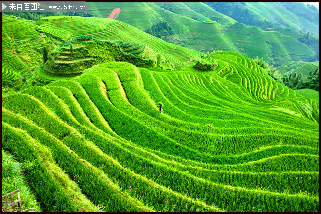 清新梯田风景高清图片-自然风光-百图汇素材网