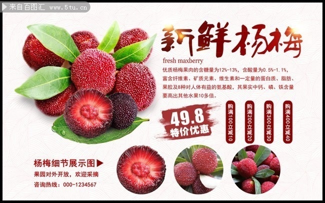 新鲜杨梅水果促销海报图片
