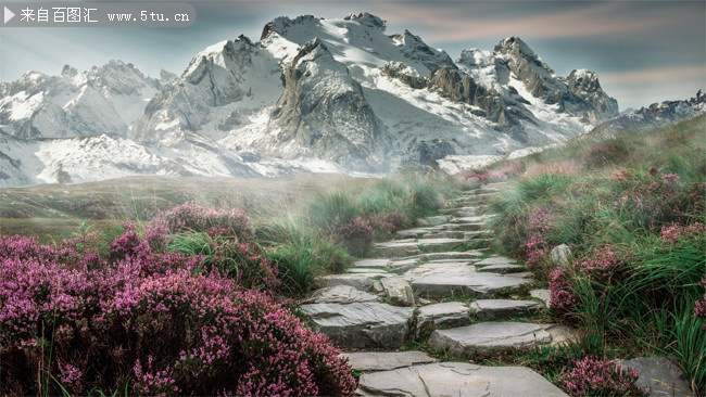 雪山和小路唯美风景图片