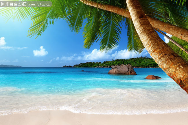 夏季沙滩椰树风景背景图片素材