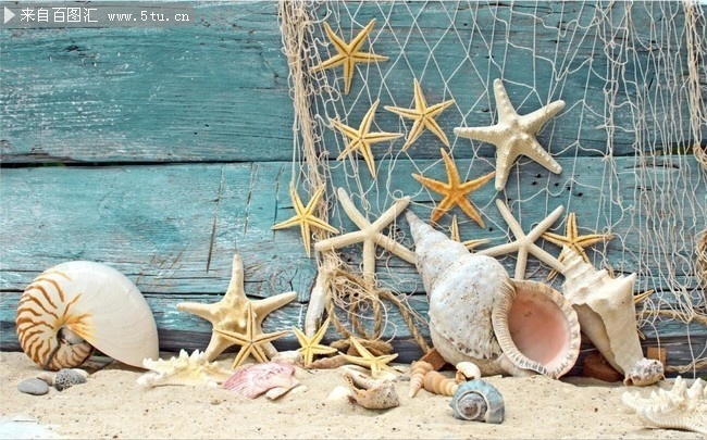 沙滩贝壳渔网高清图片