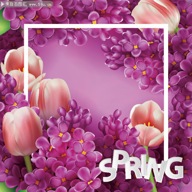 紫色花朵手绘花纹边框素材