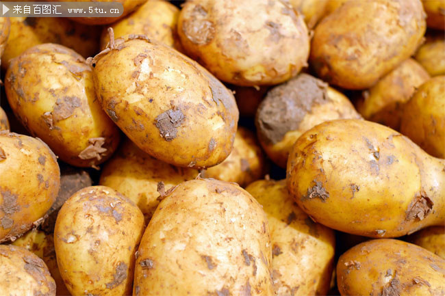 新鲜土豆高清大图图片
