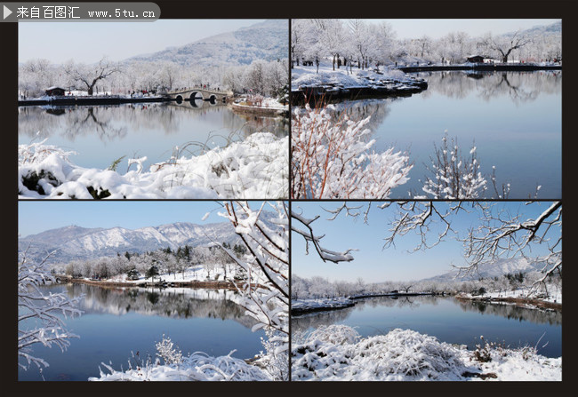 唯美北京植物园雪景风景图片
