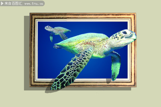 立体乌龟3D画图片下载