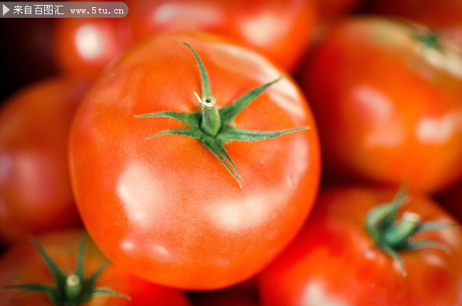 新鲜的西红柿蔬菜图片