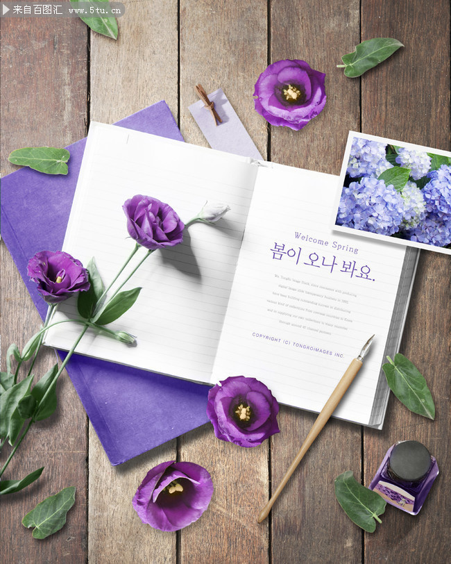 紫色花朵春天唯美海报背景模板