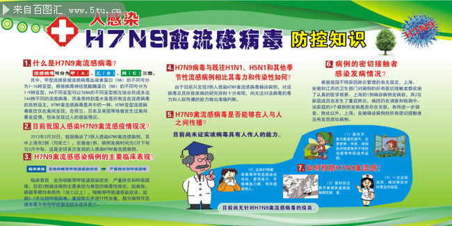 H7N9型禽流感防控知识宣传栏图片