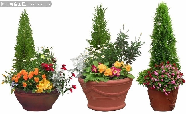 植物盆栽景观设计图片素材