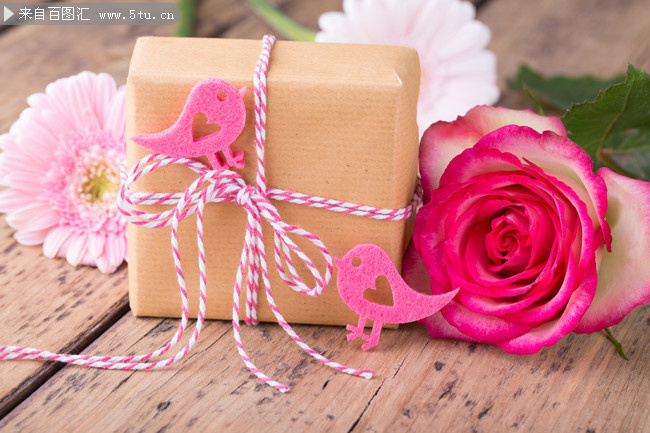 菊花纸盒与玫瑰花微距摄影
