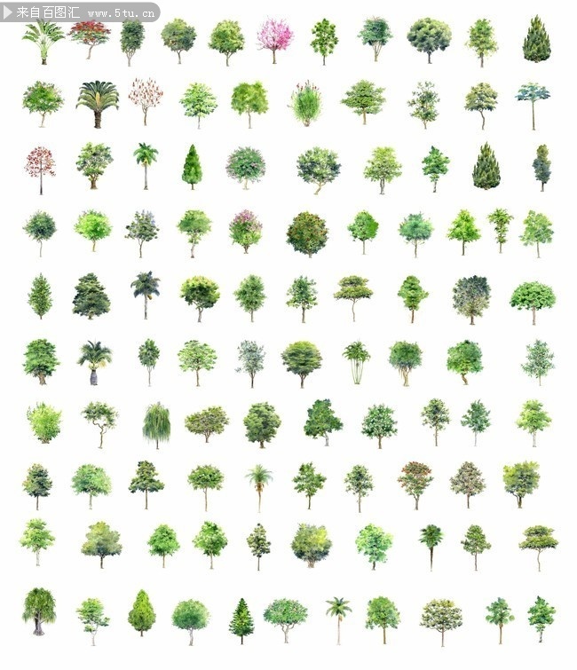 手绘水彩植物树木图片下载
