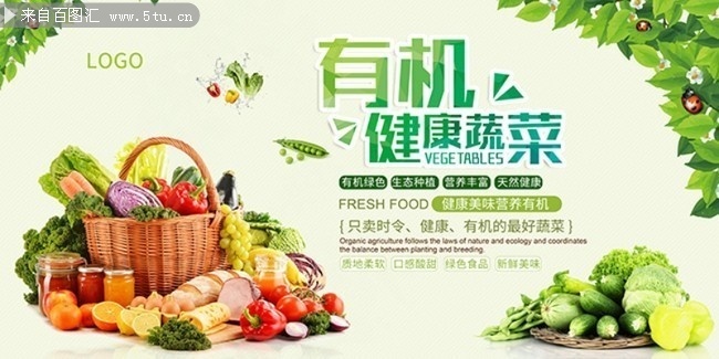 有机健康蔬菜宣传海报