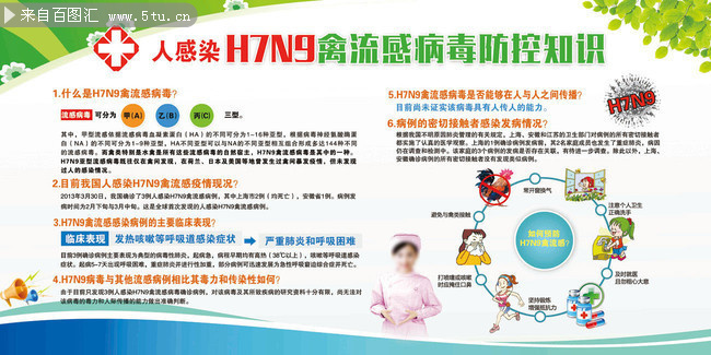 H7N9禽流感病毒防控知识展板