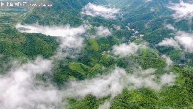 云雾大山风光图片