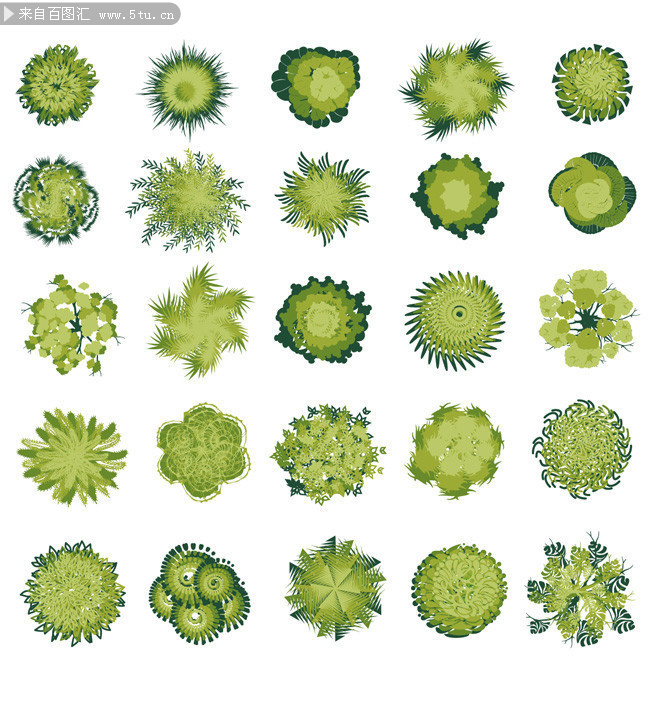 绿化植物水彩顶视图矢量素材