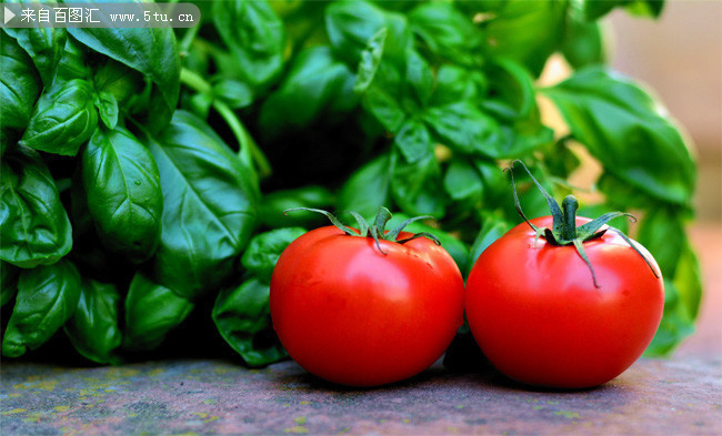 成熟的西红柿高清图