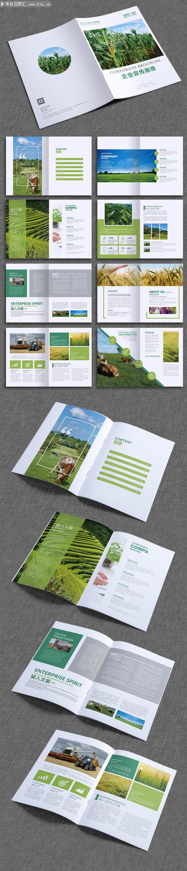 绿色环保农业宣传画册版式设计