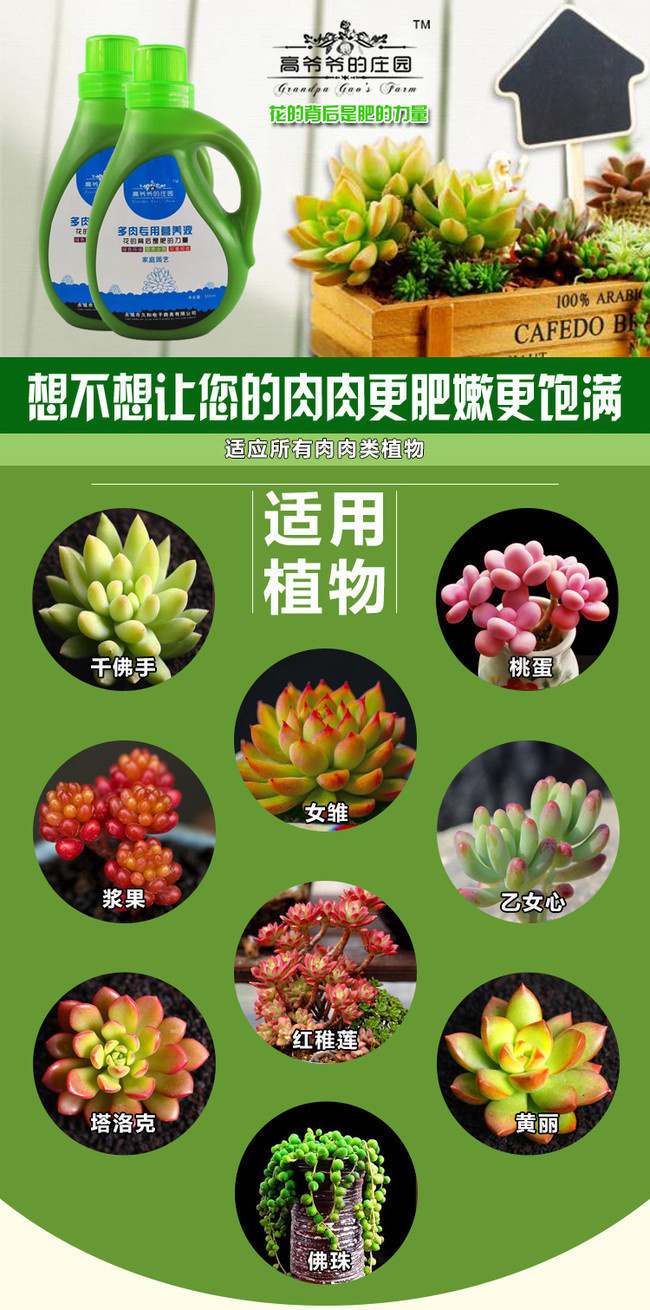 电商多肉植物肥料手机店铺装修模板下载