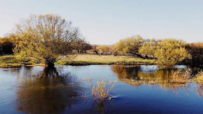 金秋高原上的河流和树木美景图片