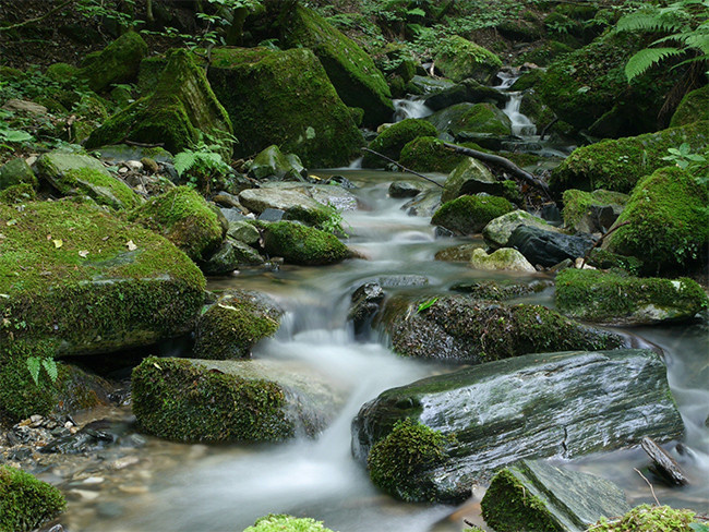 山涧溪流美景图片