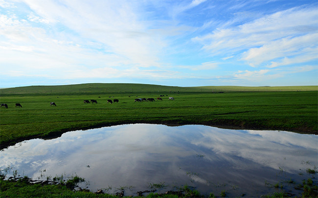 内蒙古呼伦贝尔草原风景图片素材