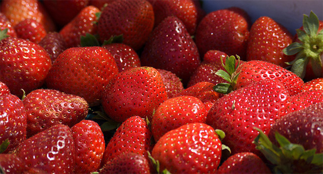 草莓水果图片