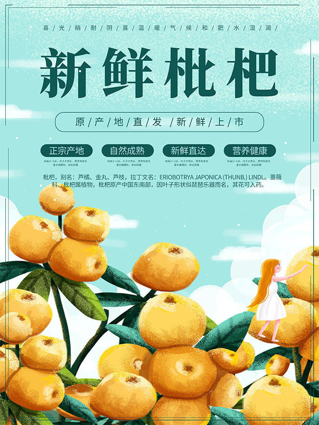 新鲜枇杷水果上市促销活动海报图片