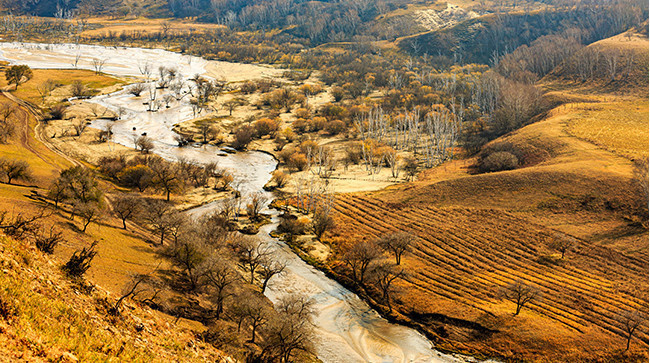 秋天湿地风景图片高清