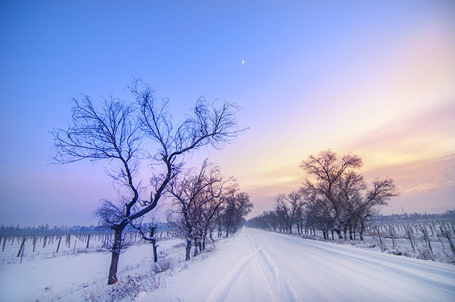 冬天雪景风景图片素材