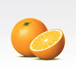 超真实橙子矢量图