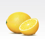 柠檬写真矢量图