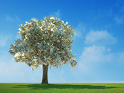 摇钱树 货币创意树