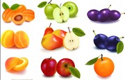 水果矢量图 水果图片