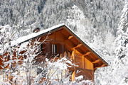 雪中的木房子