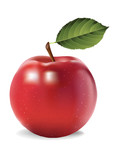 一个红苹果 水果矢量图