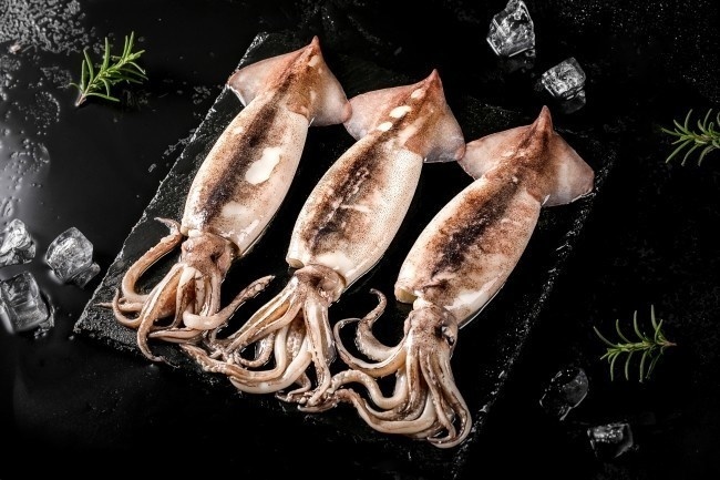 摆放整齐的新鲜鱿鱼食材摄影图片
