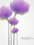 抽象花卉图片 紫色荷花