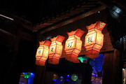 杭州乌镇夜景 灯笼图片 