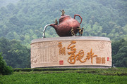 杭州龙井茶叶基地