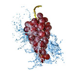 葡萄高清图片 水果素材