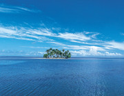 一望无际的大海 椰树小岛图片