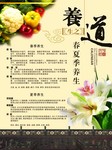 春夏季养生宣传展架 中国风海报